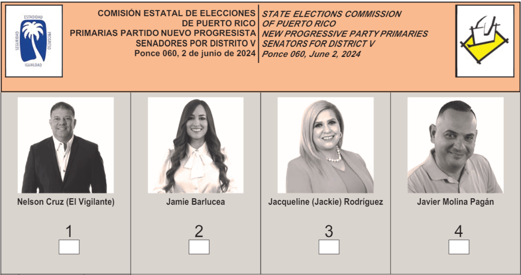 Aspirantes a Senadores de Distrito por el PNP