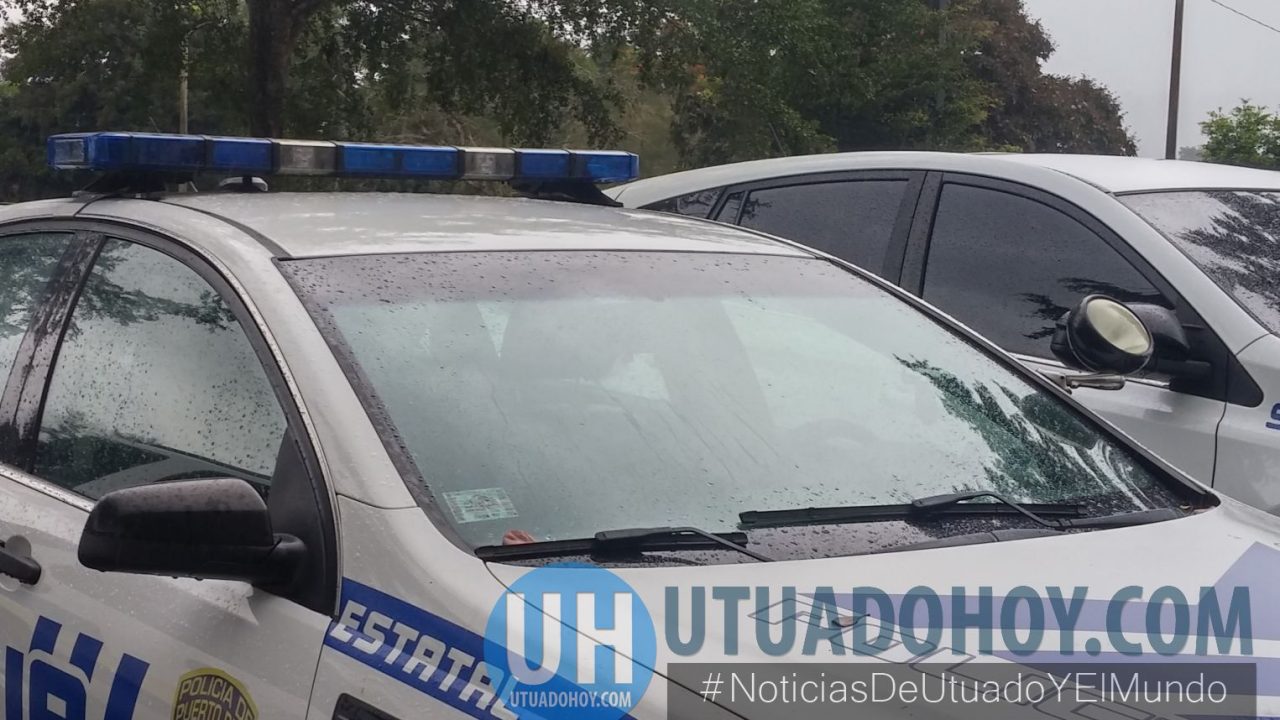División de Vehículos Hurtados interviene talleres y depósitos clandestinos en Utuado y Adjuntas