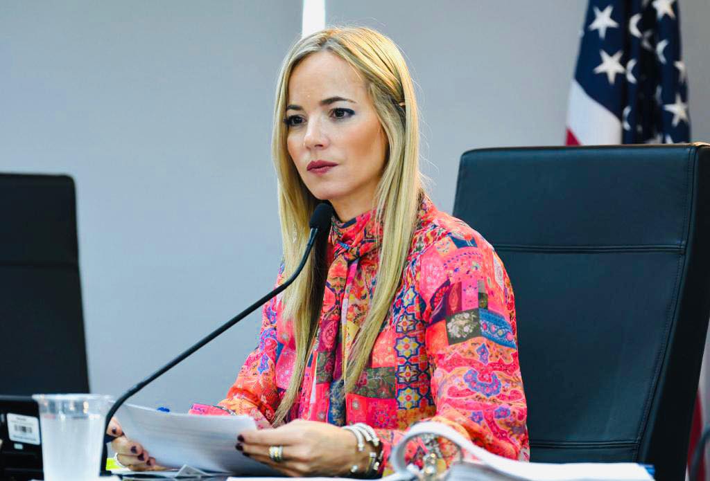 Senadora Joanne Rodríguez Veve, Proyecto Dignidad