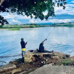Arecibo invita a celebrar los 39 años del Festival del Cetí el próximo fin de semana