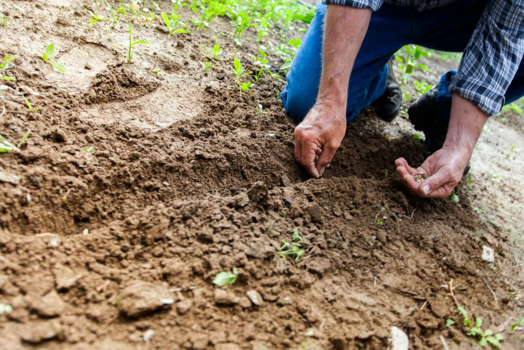 Libre mercado, capitalismo y Utuado: un plan serio para crecer
