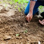 Libre mercado, capitalismo y Utuado: un plan serio para crecer